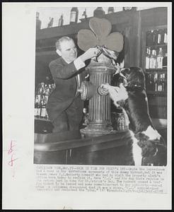 Back In time For Paddy’s Day--Maybe the leprechauns had a hand in the mysterious movements of this dummy hydrant,but it was tavern owner P.J.Moriarty himself who had to visit the property clerk’s office here today to reclaim it. Here “P.J.” and his dog Suzie rejoice in its return just in time for St.Patrick’s Day. The hydrant caused a traffic ticket to be issued and some commotion--not to say publicity--ensued after a policeman discovered that it was a phony. “P.J” acknowledged ownership and reclaimed the “plug.”