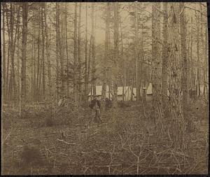 Camp in the woods near Culpepper, Va., Nov., 1863