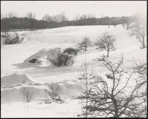 Snow covered landscape
