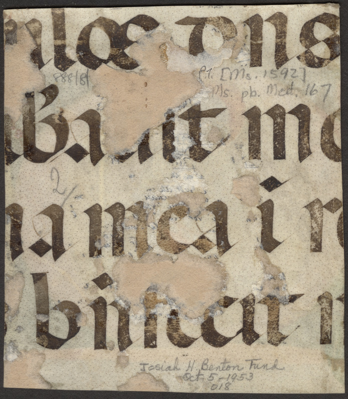 Cutting from a ca. 15th-century ferial psalter