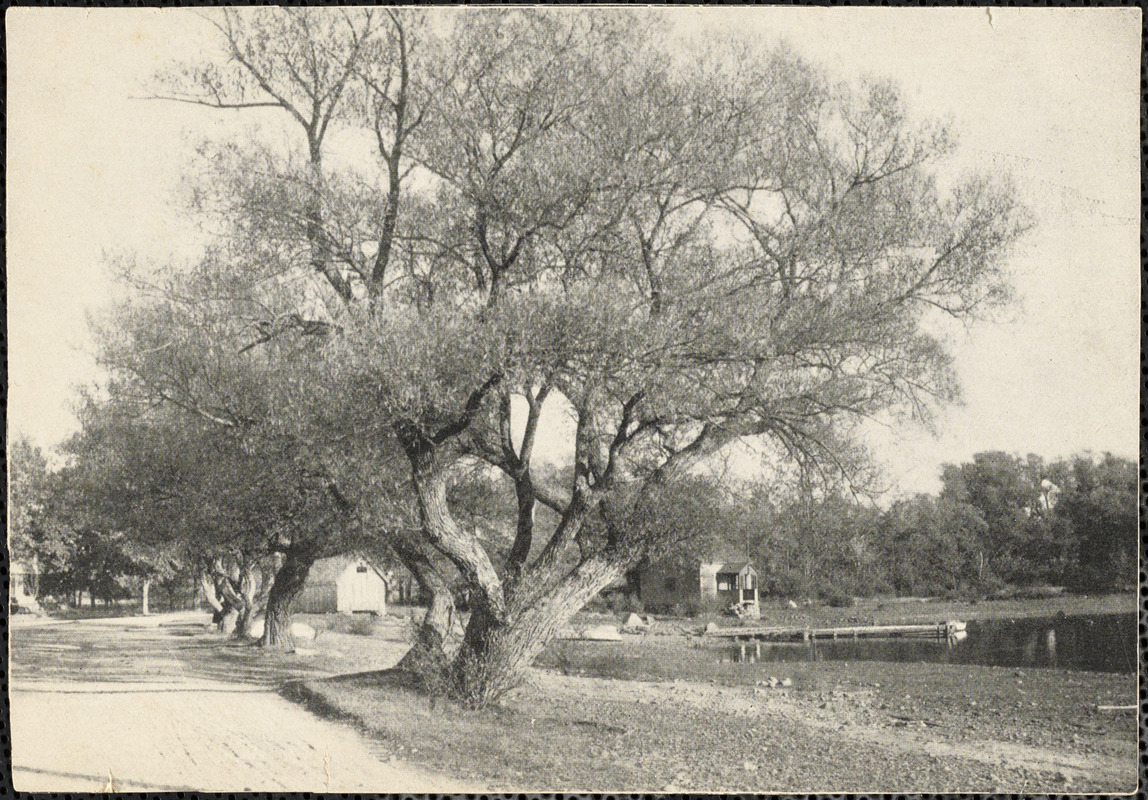 Flume House and boathouse, Old Beach Street, Sharon MA