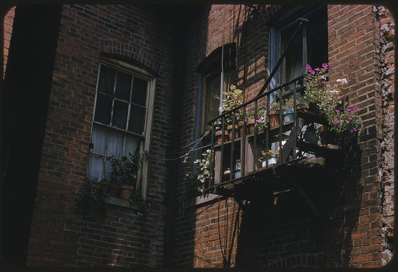 Flower box, ruins, West End