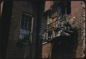 Flower box, ruins, West End