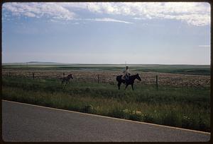 Man riding horse followed by foal on side of road