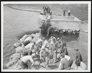 "Operation Sandbag" gradually conquers rushing where dam broke in South Peabody and caused flood of Peabody square. Workers from Eastman Gelatine Company build sandbags base across 39-foot gap. Water level dropped almost five feet in pond called "The Flume."