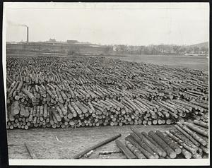 Mobilization At Concord. More than 1,000,000 board feet of logs are in this pile at Concord, waiting to be cut as part of the government's plan for hurricane timber salvage. The Concord Reformatory is in the background.