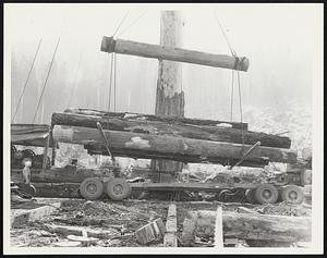 Lumber. Washington State.