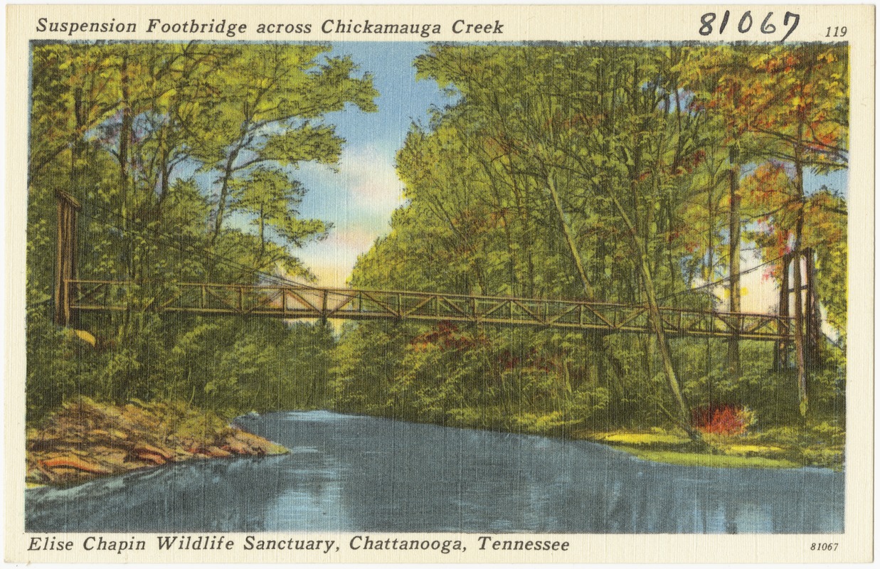 Suspension footbridge across Chickamauga Creek, Elise Chapin Wildlife Sanctuary, Chattanooga, Tennessee