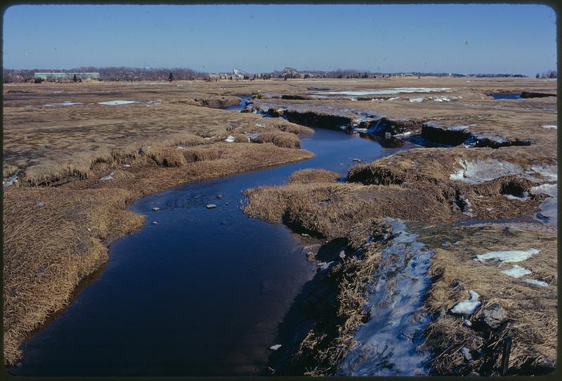 North River Marshes, Scituate Mass.