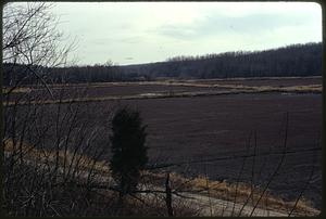 Marshes draining into Bush Pond converted to Cranberry Bogs