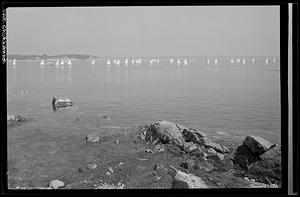 Marblehead, "Out Beyond Lighthouse," marine