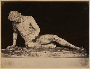 The dying Gaul