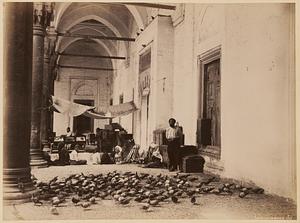 Les pigeons du [la mosquée du Sultan Bayazïd]