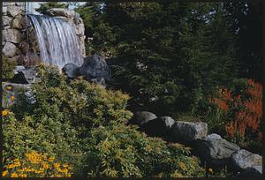 Waterfall & flowers, Carling's