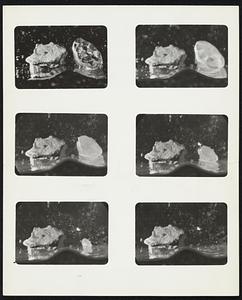 A Diamond Burns - Borazon Remains Unaffected. Six-picture sequence shows how a small gem stone placed on a resistance heater disappears - burns up - when the temperature exceeds about 1600 degrees Fahrenheit. Borazon, General Electric's new man-made material which is in the same range of hardness as diamond, is not affected. These photographs were taken at 30-second intervals. (Note: Many materials withstand temperatures at which diamond burns; the significant part of this demonstration is that borazon combines the hardness of diamond with much greater resistance to oxidation at high temperatures. After the demonstration pictured here, the piece of borazon was used to scratch the face of another diamond.) (Second Note - to the ladies: Although diamond will burn, as shown here, relatively high temperatures are required. The oven in your kitchen range, for example, reaches only about 500 to 600 degrees Fahrenheit as compared with the 1600 degrees at which diamond begins to oxidize.)