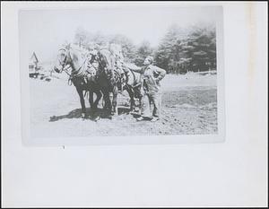 William Wilga with a horse team