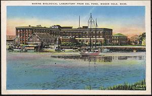 Marine Biological Laboratory from Eel Pond, Woods Hole, Mass.