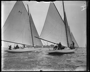 Sailboats