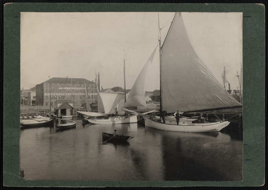 Sailboats in New Bedford Harbor