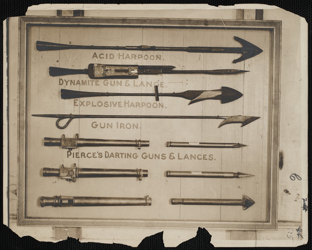 Harpoons, darting guns and lances