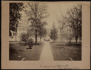 View from grounds of Charles W. Morgan House