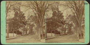 Looking North on County Street, New Bedford, MA