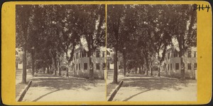 Looking North from School Street, New Bedford, MA