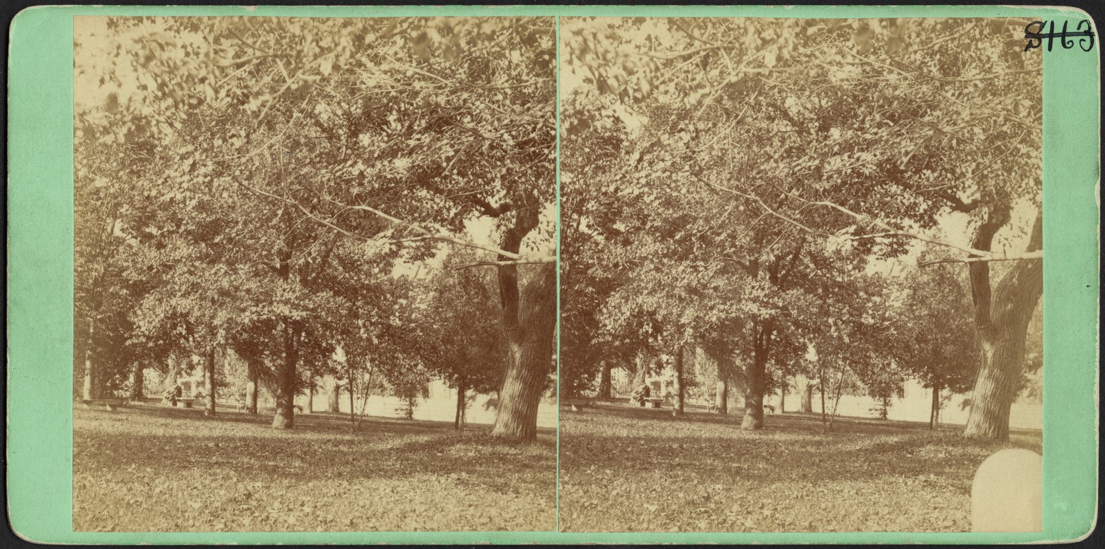 Grounds of Charles W. Morgan Residence, New Bedford, MA
