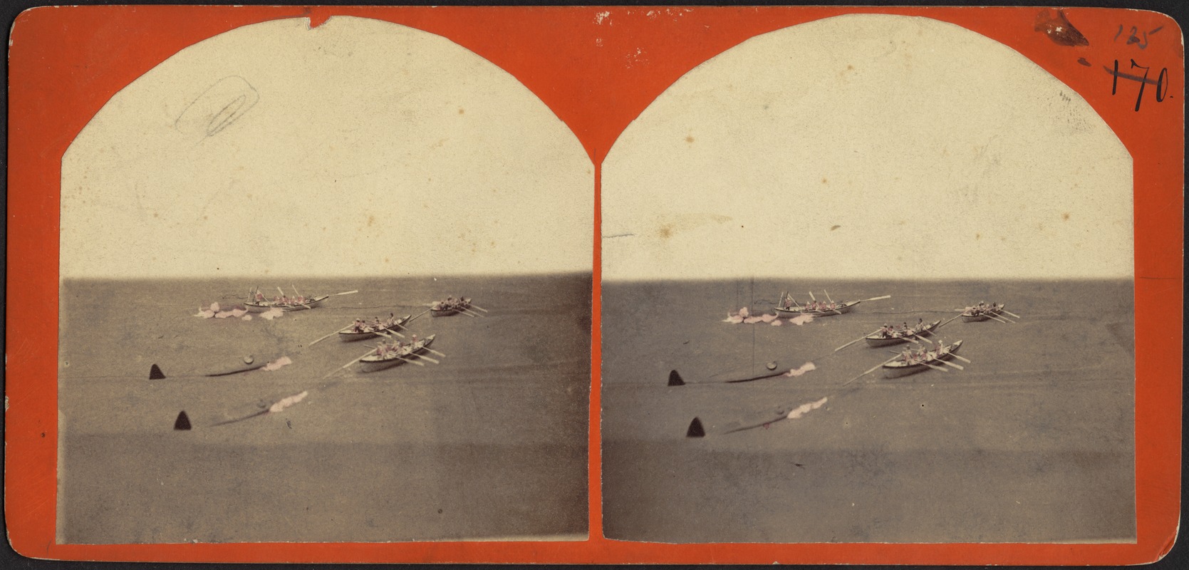Whaleboats Towing Two Whales