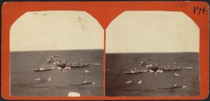 Whaleboats Surrounding Large Whale