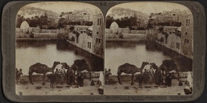 The King's Pool, Hebron, Palestine