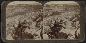 Rocky Bethel and Olive Groves, Palestine