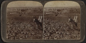Jerusalem from Mt. Scopus