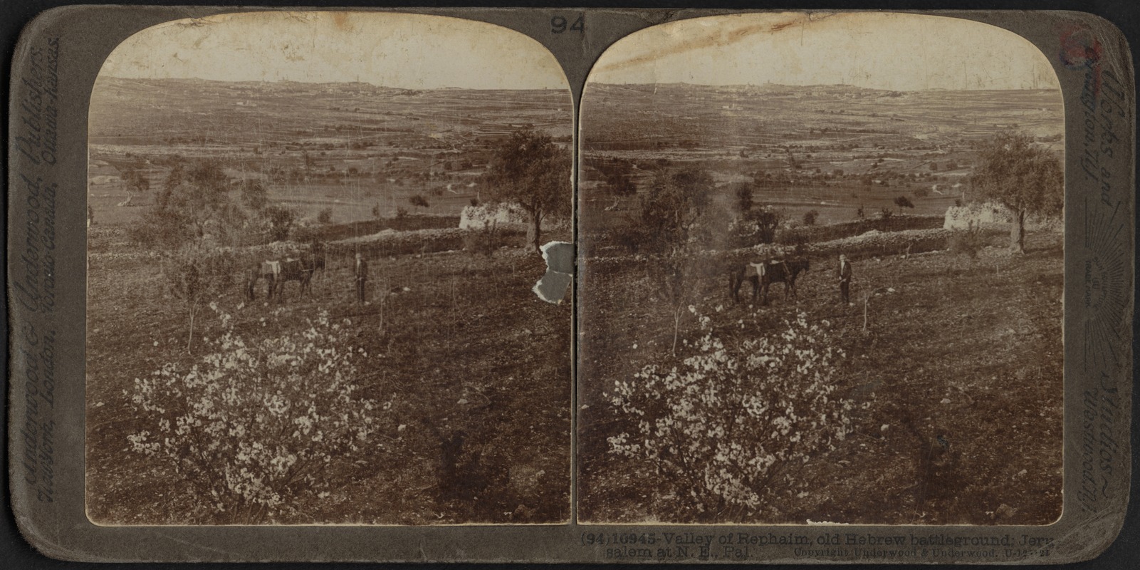 Valley of Rephaim, Palestine