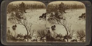 Sea Beach, Manly, New South Wales, Australia