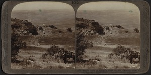 Rock of Elijah's Altar, Mt. Carmel, Palestine