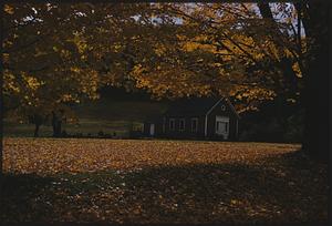 Country house and fall foliage