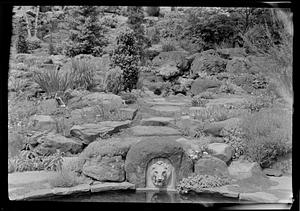 Rock garden of Mrs. C.H. Stout, up slope from goldfish pool