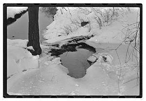 Snow pictures - Fenway
