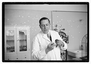 Dr. Dailey Angell Memorial Animal Hospital