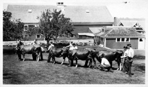 Instructor John Eastwood, E.C.A.S. 1917 and His Dairy Judging Class