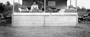 Senior Student Morgan and His Roadside Booth