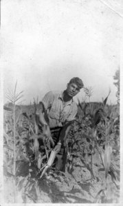 Harold Rogers in His Sweet Corn. He Graduated 1928