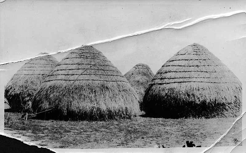 Stacking Hay & Binding Off in Scotch Style - Digital Commonwealth