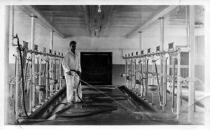 Chester Ellis, E.C.A.S., on Project in the School Barn