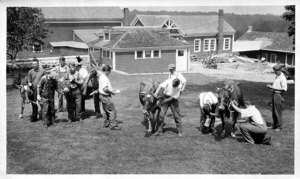 Judging Dairy Cattle, Instructor John Eastwood, about 1926