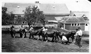 Class in Cattle Judging, E.C.A. School. John E. Eastwood Instructor (Marked I) Graduated from E.C.A.S. 1917