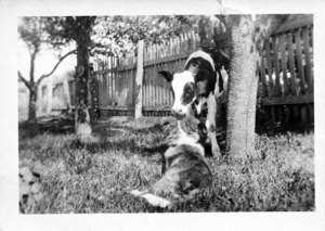 Leonard E. Russell's Farm in Danvers. He graduated E.C.A.S. 1918