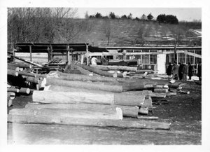 Pile of Logs to Be Sawed