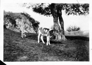 Leonard E. Russell's Farm in Danvers. He graduated E.C.A.S. 1918